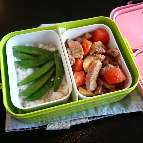bento, japanese style lunch